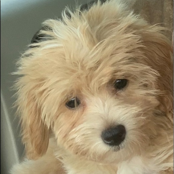 💗Welcome 2 My Closet💗 - Picture 5 of 8